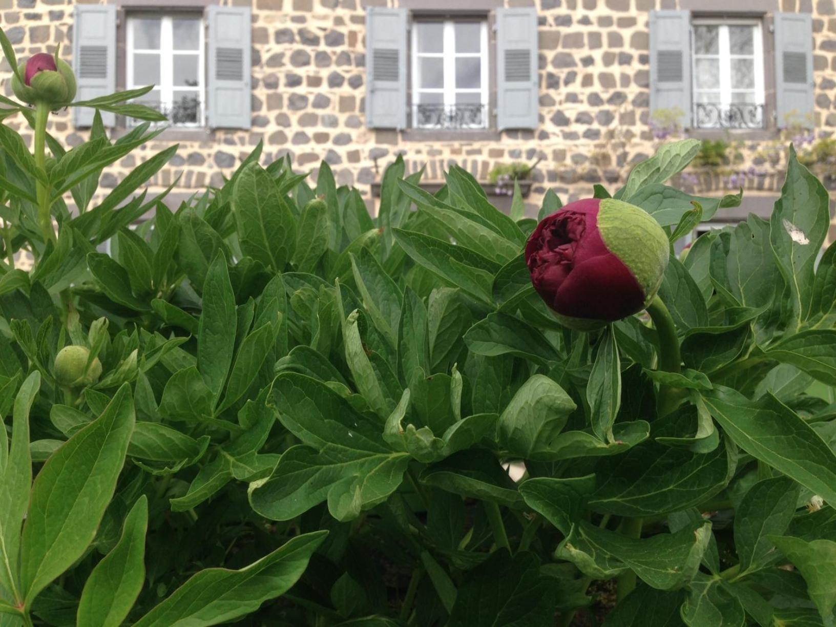 Les Jardins D'Anna - Chambres D'Hotes Tapon Kültér fotó