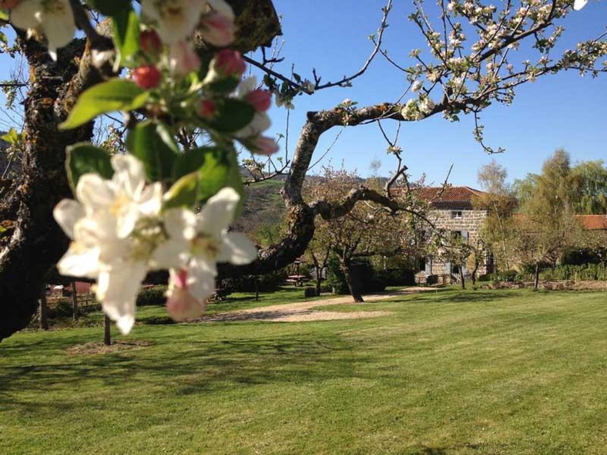 Les Jardins D'Anna - Chambres D'Hotes Tapon Kültér fotó